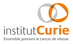 Institut Curie